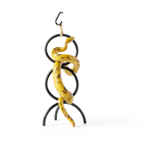 Snake Climbing Rings by pranovo Enrichment Toy for Ball Pythons 16in-4