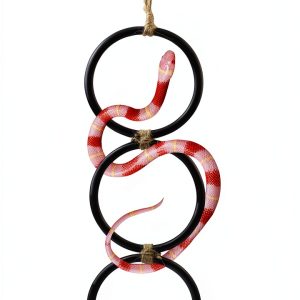 Snake Climbing Rings by pranovo Enrichment Toy for Ball Pythons 16in-0