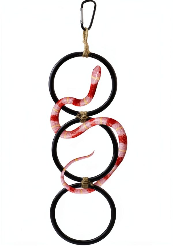 Snake Climbing Rings by pranovo Enrichment Toy for Ball Pythons 16in-0